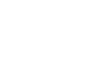 Majlis Shura