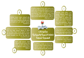 مشروعات خطط التنمية والميزانية
